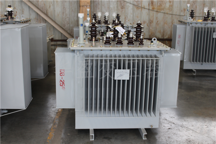 那曲S20-800kVA/10kV/0.4kV变压器